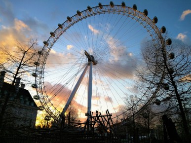 This is a view of the London Eyes from the park below as the sun begins to set.